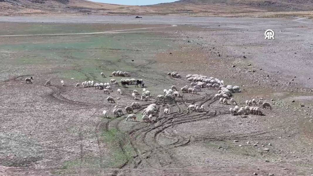 Tekir Göleti tamamen kurudu! İşte kuraklığın en net fotoğrafı 28